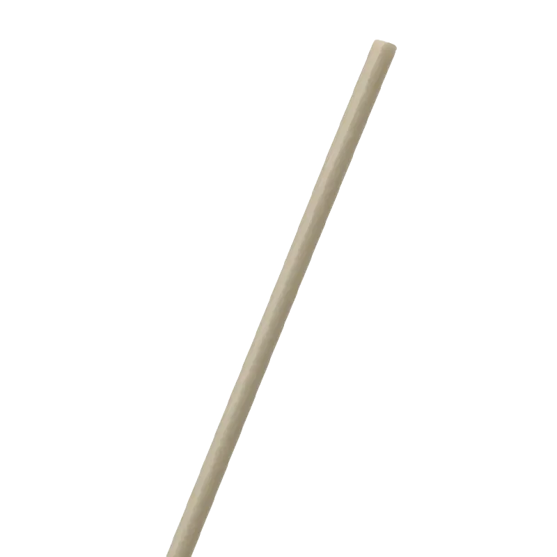PEEK_Capillary_Tube